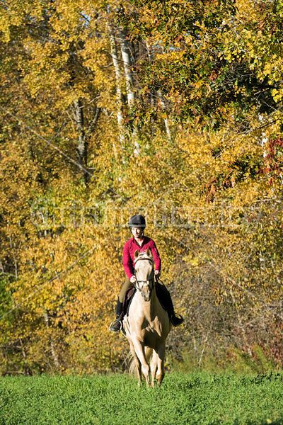 Young woman riding palomino horse