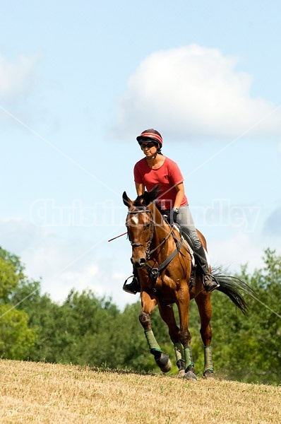 Woman horseback riding in field