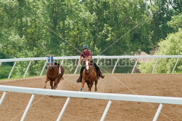 Quarter Horse Racing at Ajax Downs