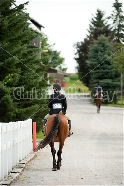 Hunter Jumper Show at Blue Star Farm