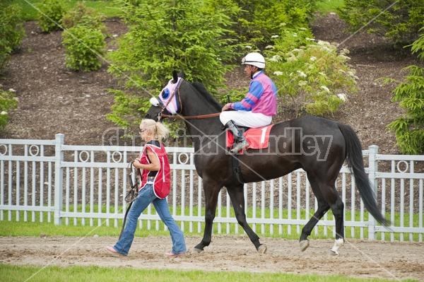 Quarter Horse Racing at Ajax Downs