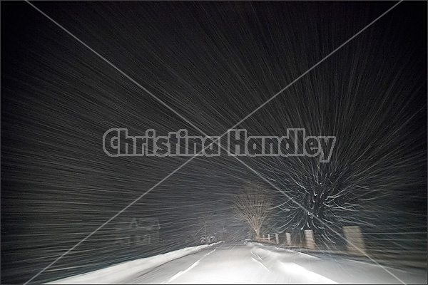 Farm driveway photographed in a snow storm