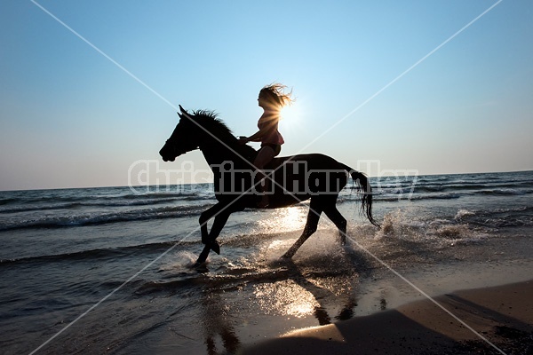 Silhouette photo of woman riding a horse bareback.