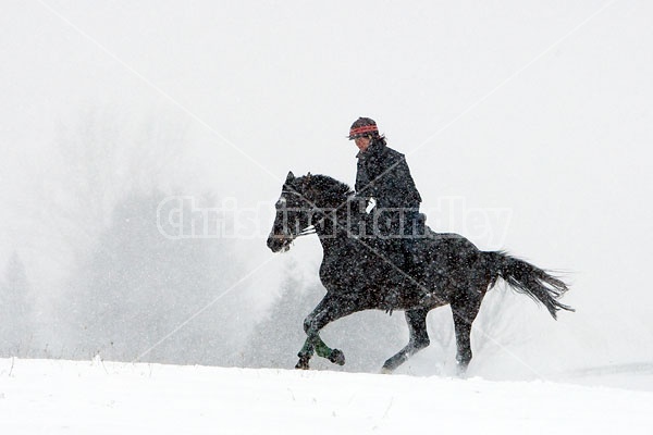 Woman horseback riding in the winter