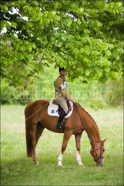 Horse Trials