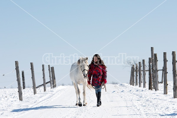 Young girl leading horse