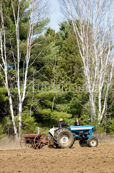 Man driving tractor pulling a seed drill planting oats