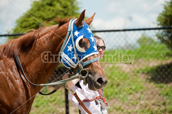 Quarter Horse Racing at Ajax Downs