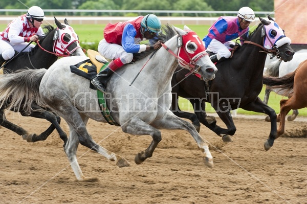 Quarter Horse Racing at Ajax Downs