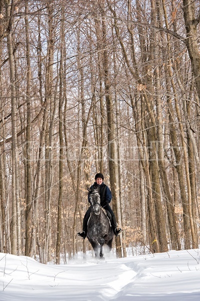 Woman riding Hanoverian mare in deep snow