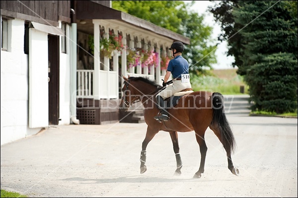 Hunter Jumper Show at Blue Star Farm