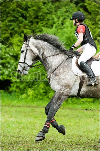 Killusty Horse Trials Fenelon Falls Ontario Canada