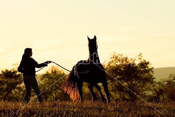 Woman with horse silhouetted against evening sky