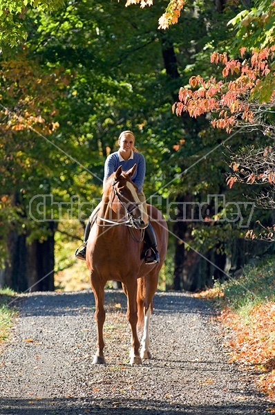 Young woman riding a chestnut horse. 