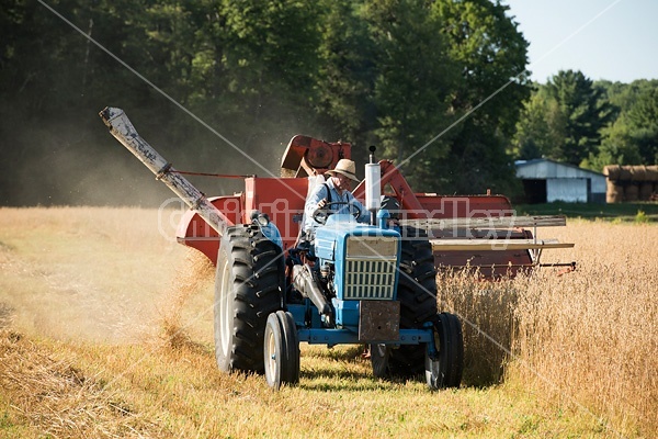 Farmer combining oats with a tractor and pull behind combine