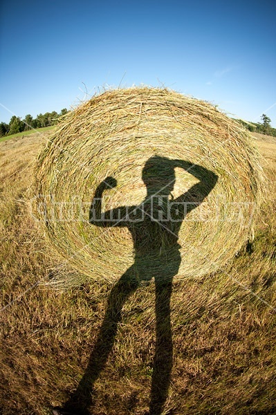 Maling fun selfie shadows on the side of a round bale of hay