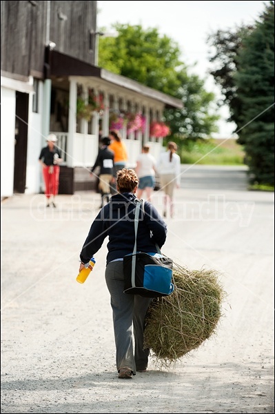 Hunter Jumper Show at Blue Star Farm