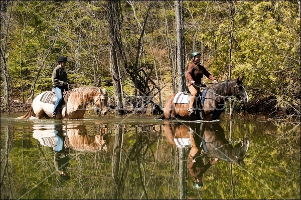 Riding Rocky Mountain Horses