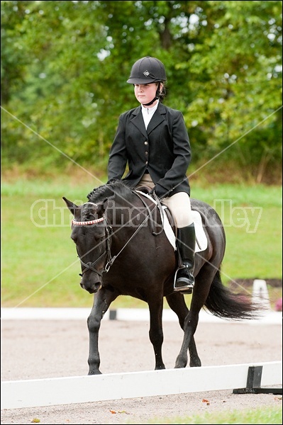 Lanes End Horse Trials