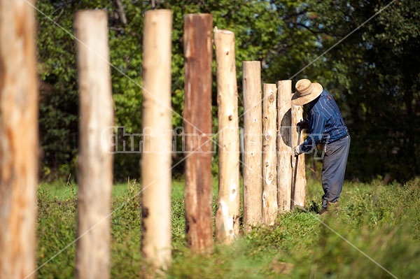 Farmer building new fence