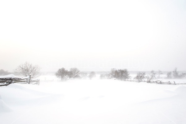 Blowing snow around farm yard