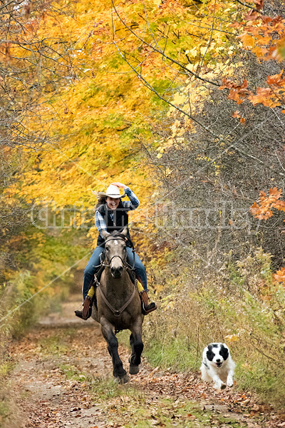 Young woman riding a Quarter Horse on trail