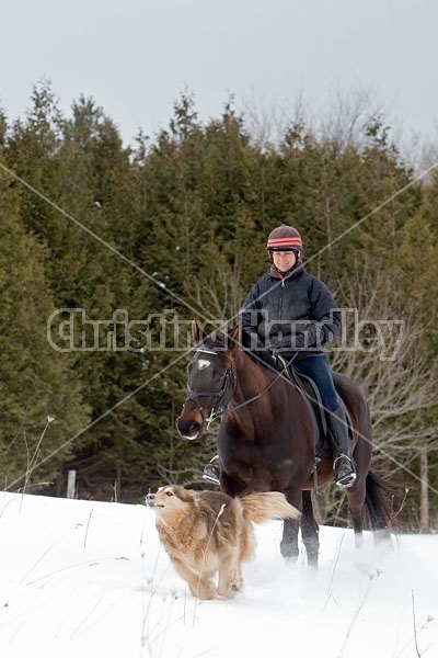 Woman horseback riding in the winter