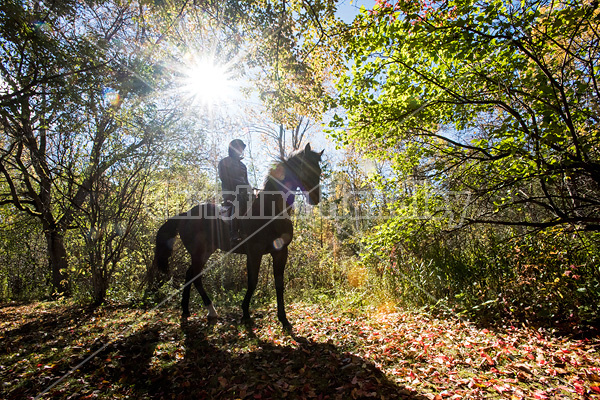 Woman horseback riding through magical forest with over hanging trees