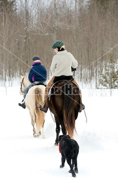 Horseback riding in the snow in Ontario Canada