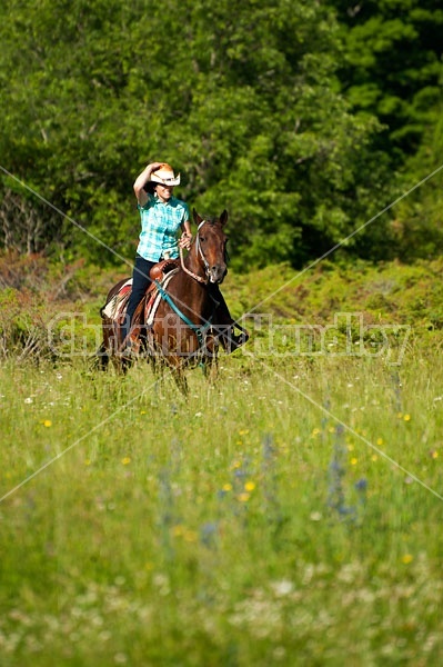 Woman trail riding on Standardbred mare