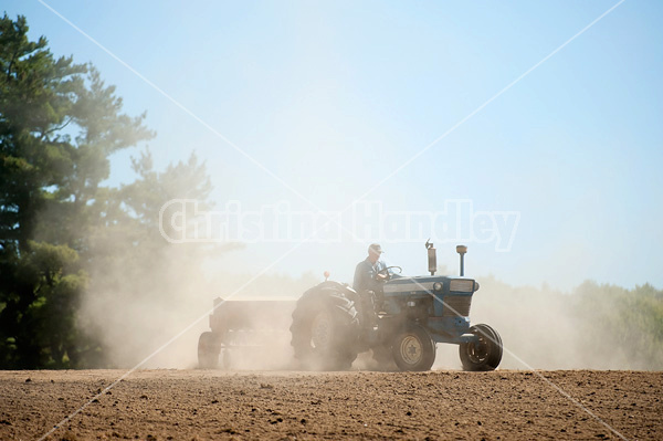 Farmer driving tractor and seed drill seeding oats