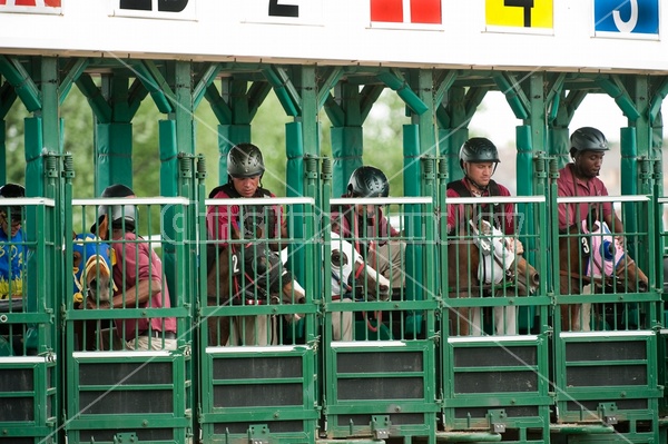 Quarter Horse Racing at Ajax Downs