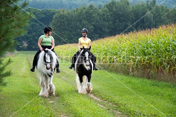 Two women riding Gypsy Vanner horses