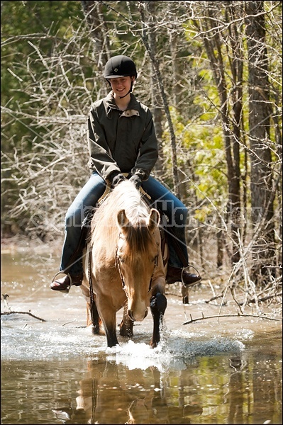 Riding Rocky Mountain Horses