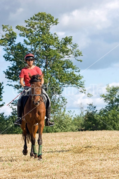 Woman riding bay horse on a summer day