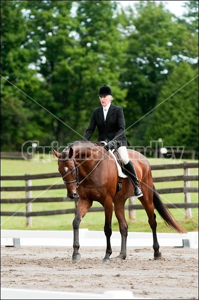 Lanes End Horse Trials