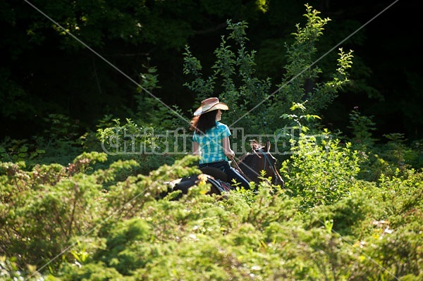 Woman trail riding on Standardbred mare