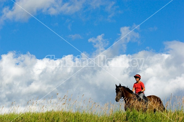 Woman horseback riding