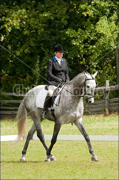 Lanes End Horse Trials