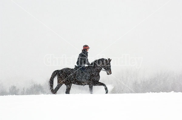 Woman horseback riding in the winter