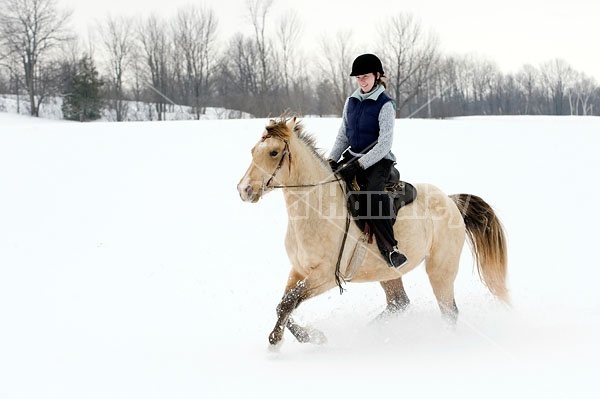 Horseback riding in the snow in Ontario Canada