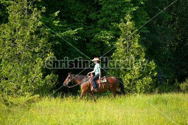 Woman trail riding on Standardbred mare