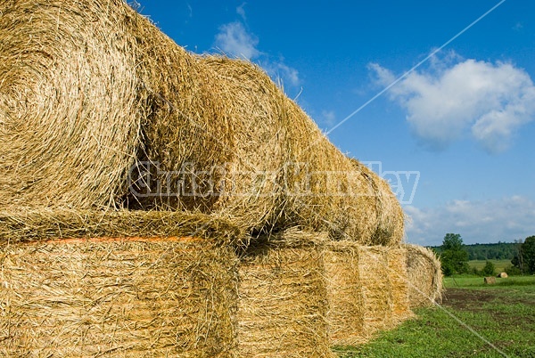 Round bales of hay piled up for winter storage