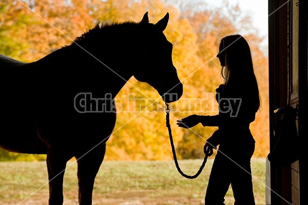 Silhouette of woman and horse in barn door