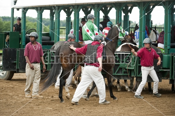 Quarter Horse Racing at Ajax Downs