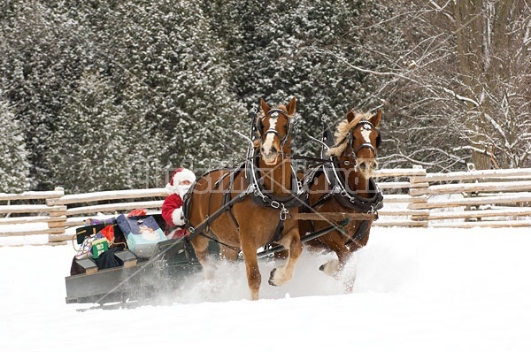 Santa Claus driving sleigh