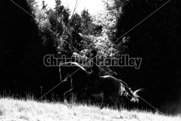 Woman riding Thoroughbred horse in dramatic light