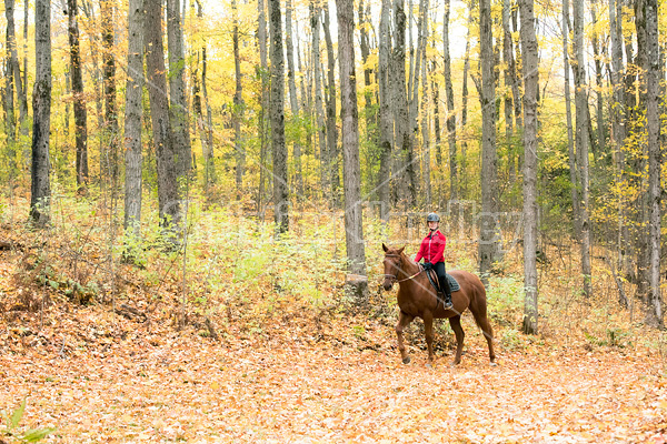 Young girl horseback riding through the autumn colored forest