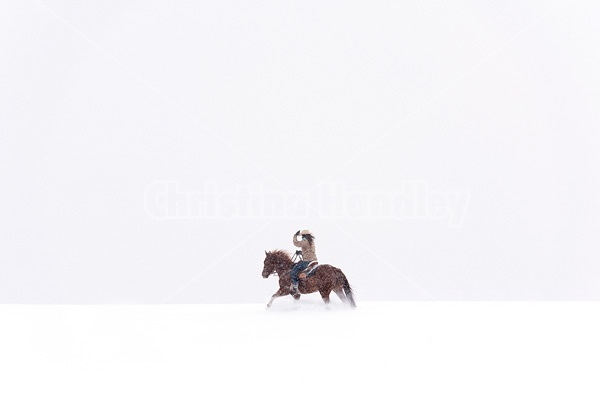 Young woman riding horse in snowstorm in Ontario Canada