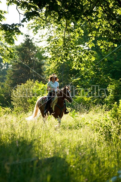 Woman riding Spotted Saddle Horse